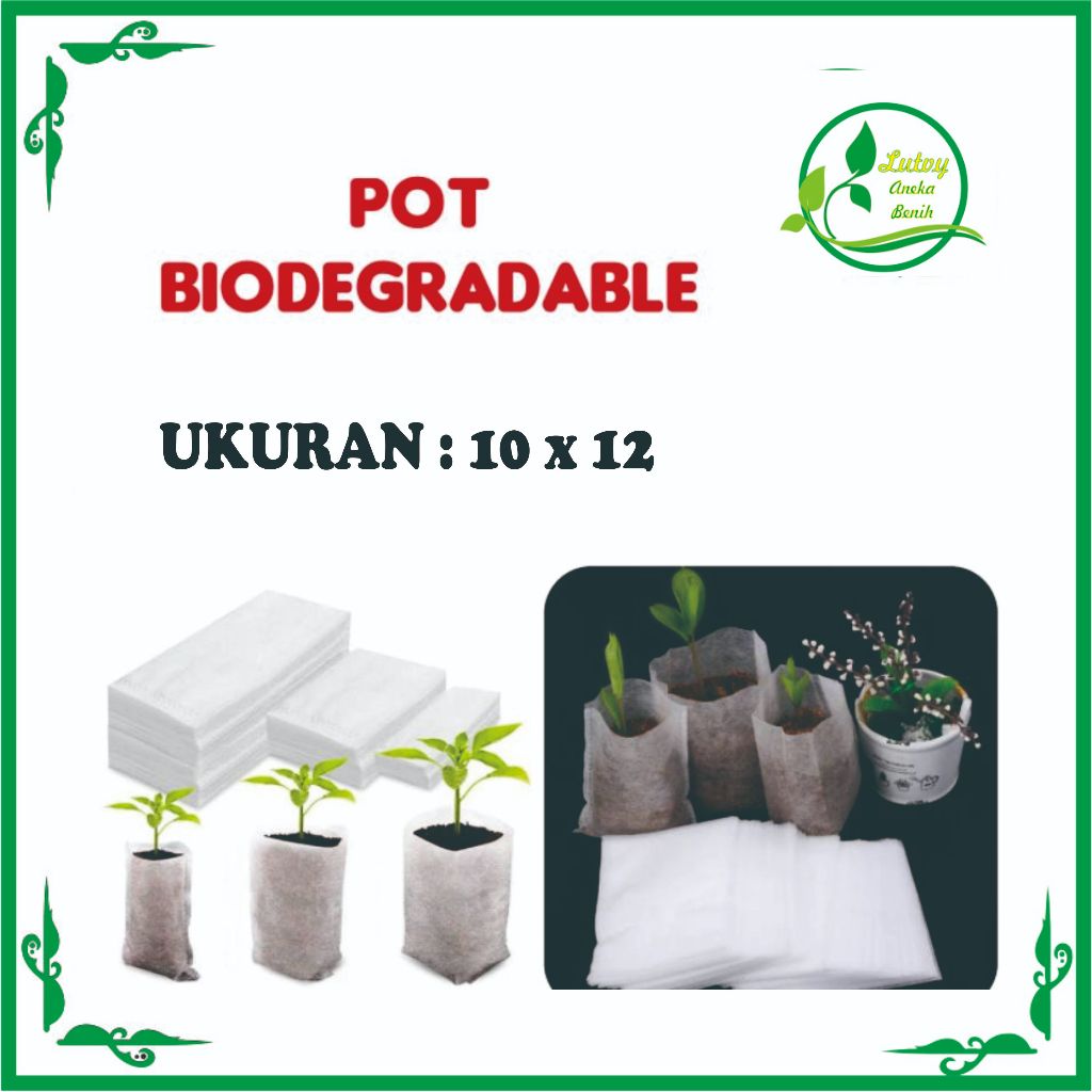 POT BIODEGRADABLE 10 X12