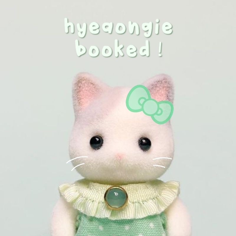 hyeaongie booked! (BOOKED ONLY)