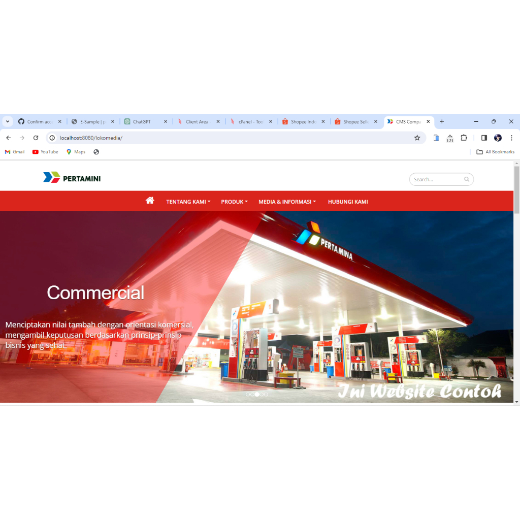 Website Company Profile CI 3