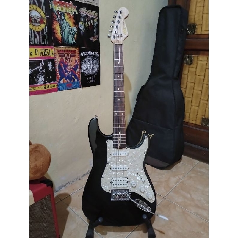 WE Guitars