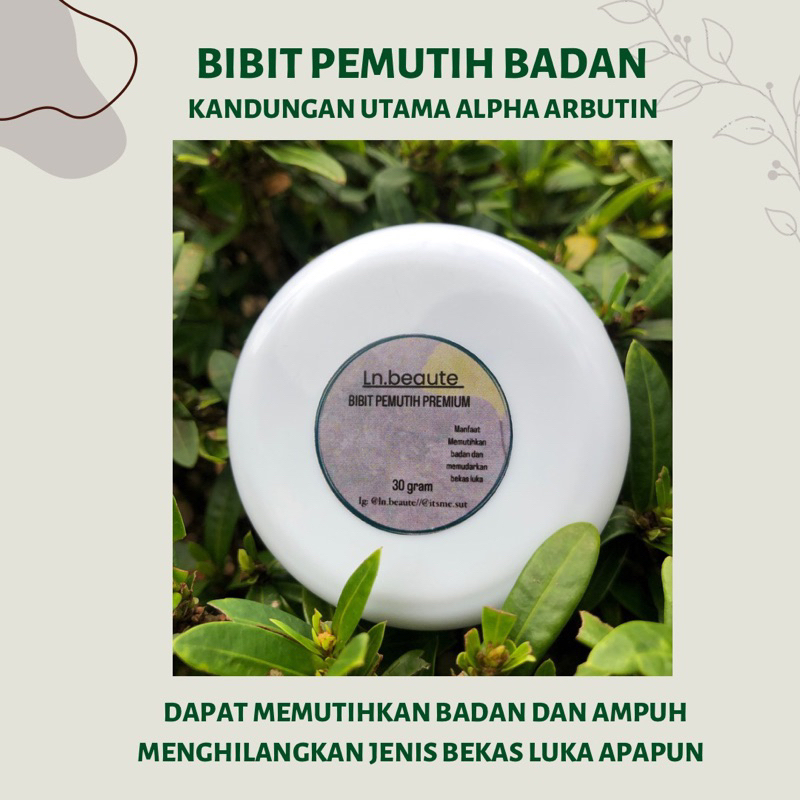 bibit boster pemutih badan