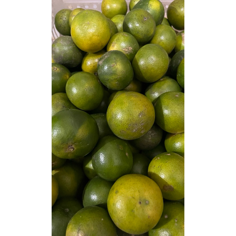 Jeruk Pacitan Jeruk Baby Java Jeruk peras 1 kg