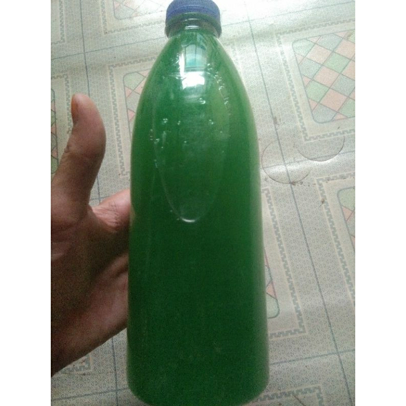 sabun cuci piring