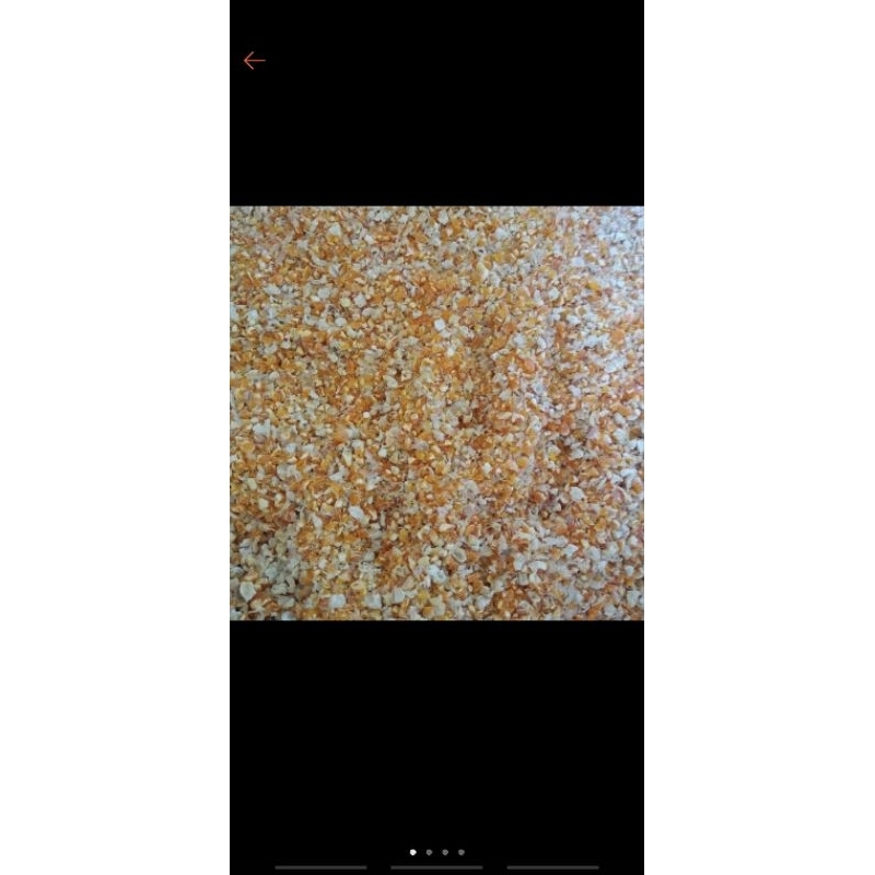 JAGUNG GILING 1KG