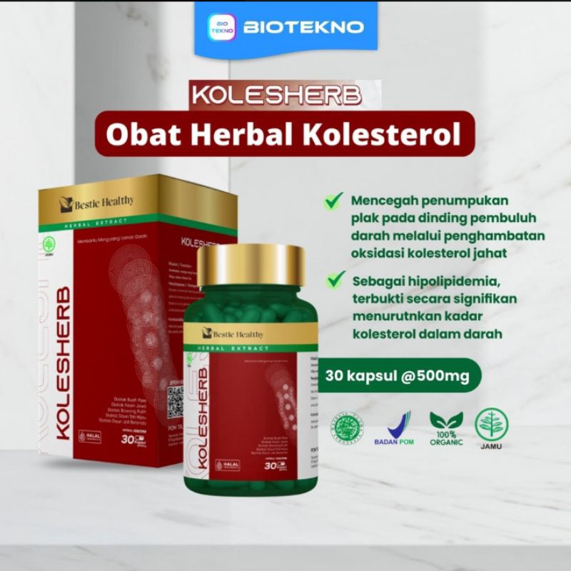 KOLESHERB Obat Herbal Kolesterol