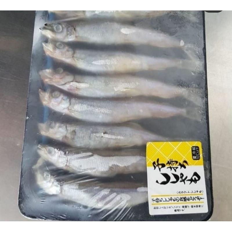 Ikan sishamo/capelin