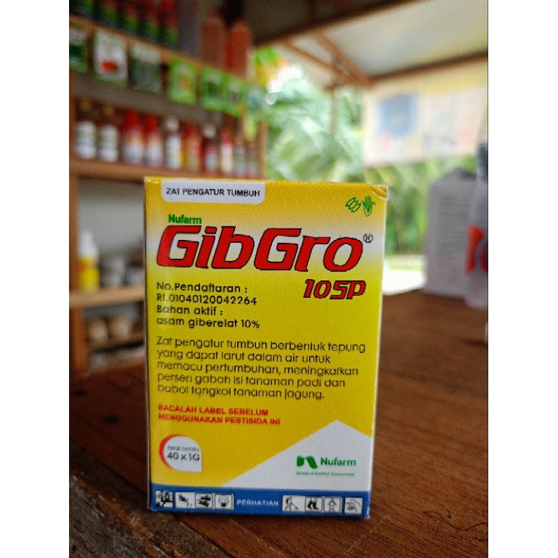 Gibgro 10 Sp ZPT