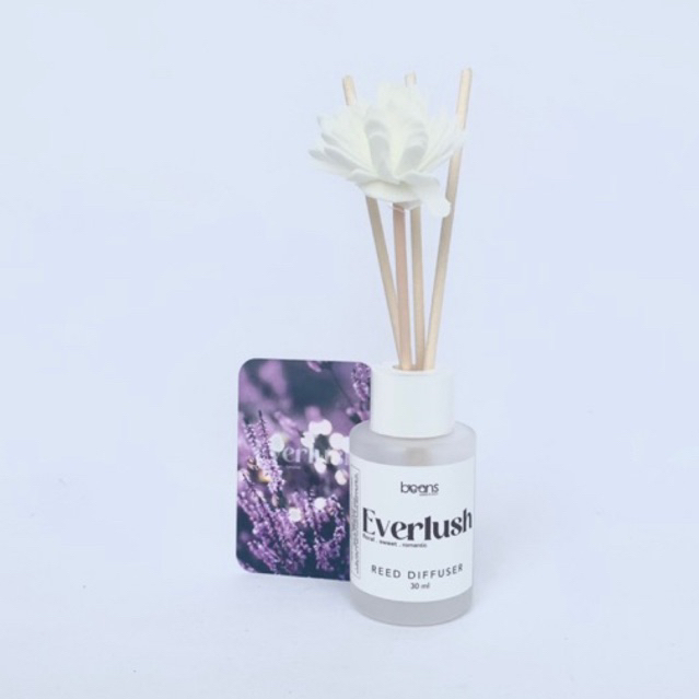 BEANS reed diffuser 30mL Everlush