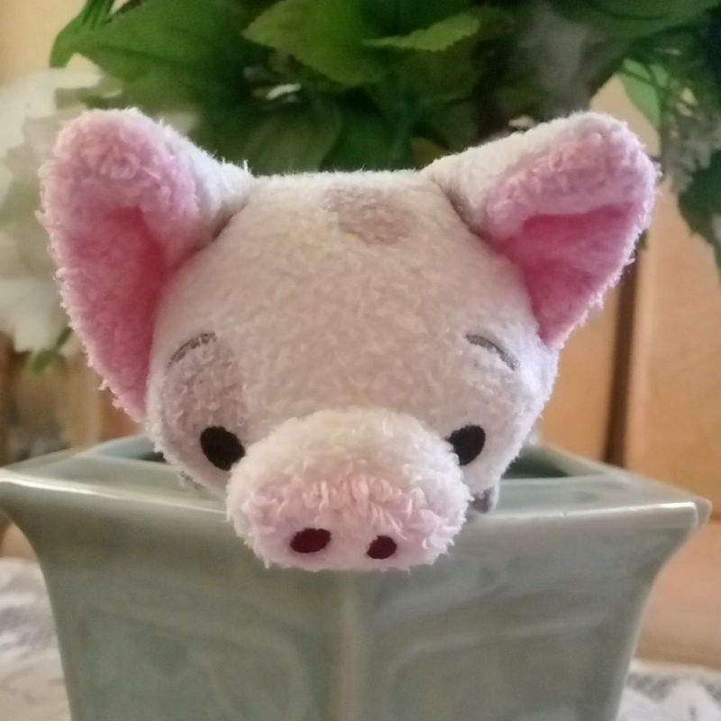 Boneka Tsum Tsum 20