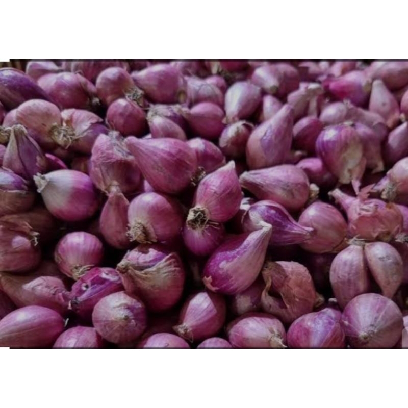 Bawang Merah