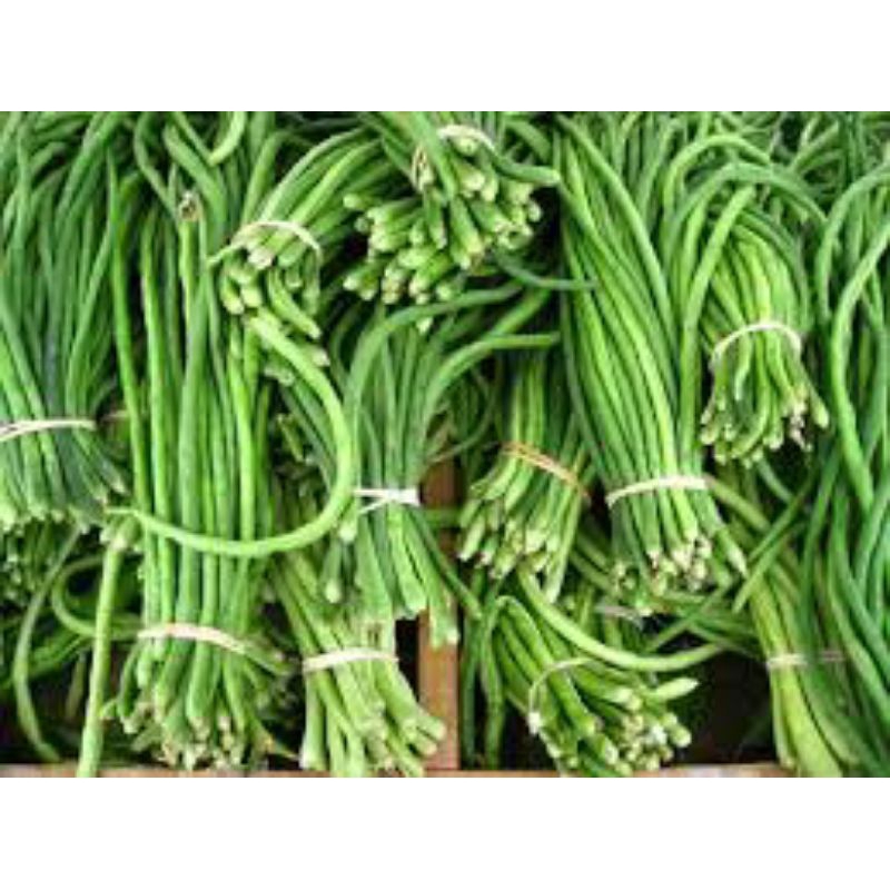 kacang panjang 500gr