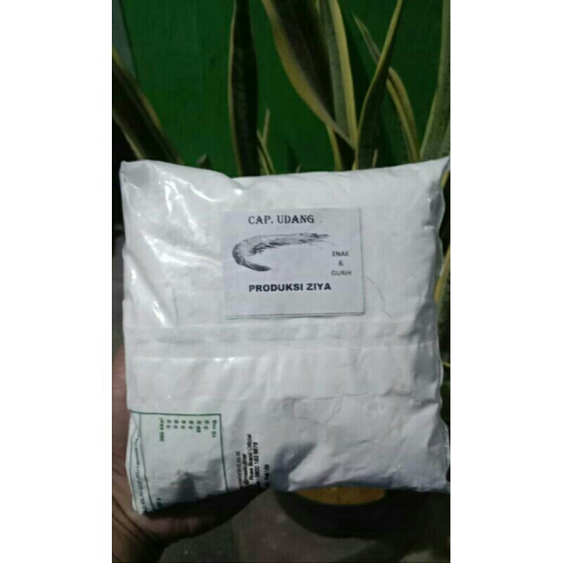 Tepung Teri
