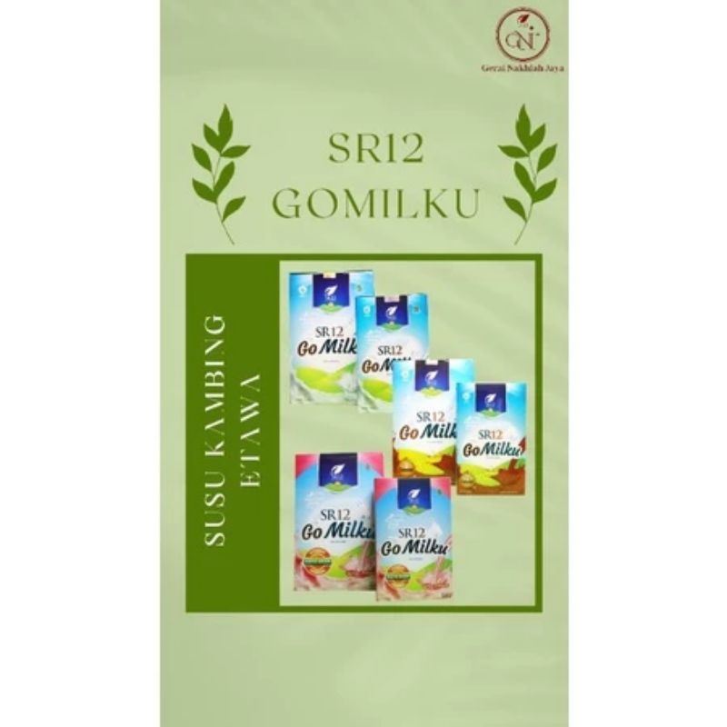 SR12 GO MILKU