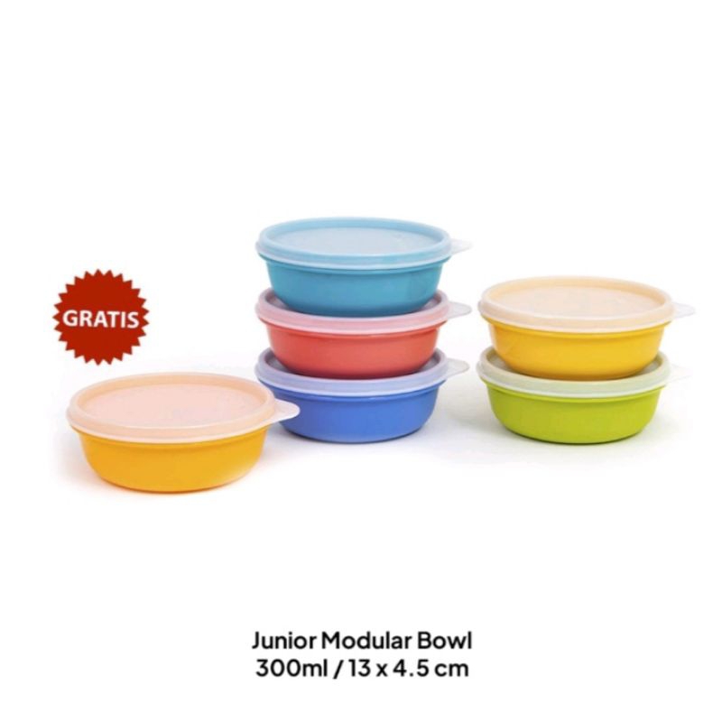 Junior Modular Bowl