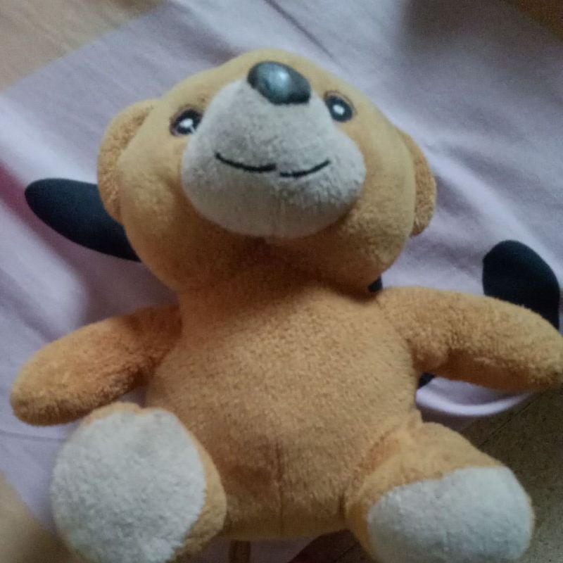 Boneka Bear Beruang Cokelat Timezone
