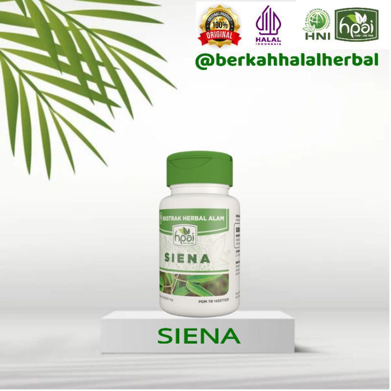 Siena HNI HPAI