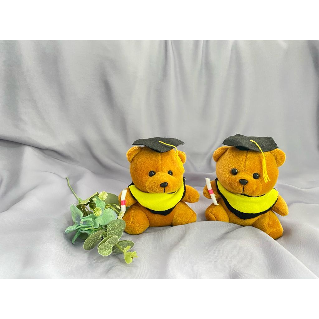 BONEKA TEDDY BEAR MINI WISUDA 15 CM
