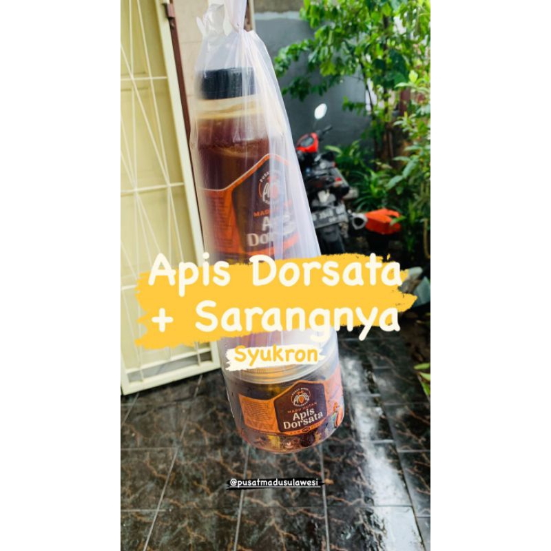 madu murni