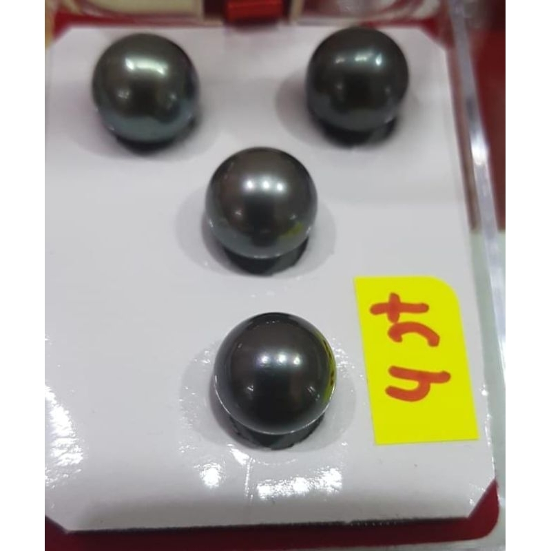 1 set mutiara air laut
