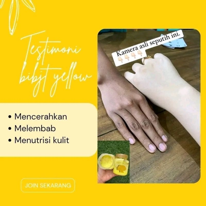 bibit yellow mecca