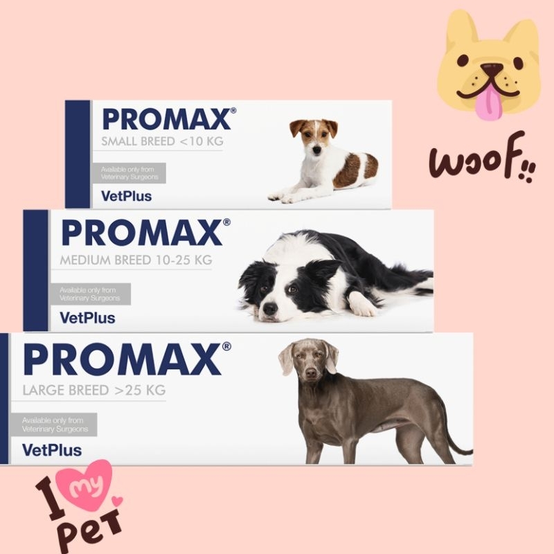 VetPlus Promax Medium Breed, TERMURAH!