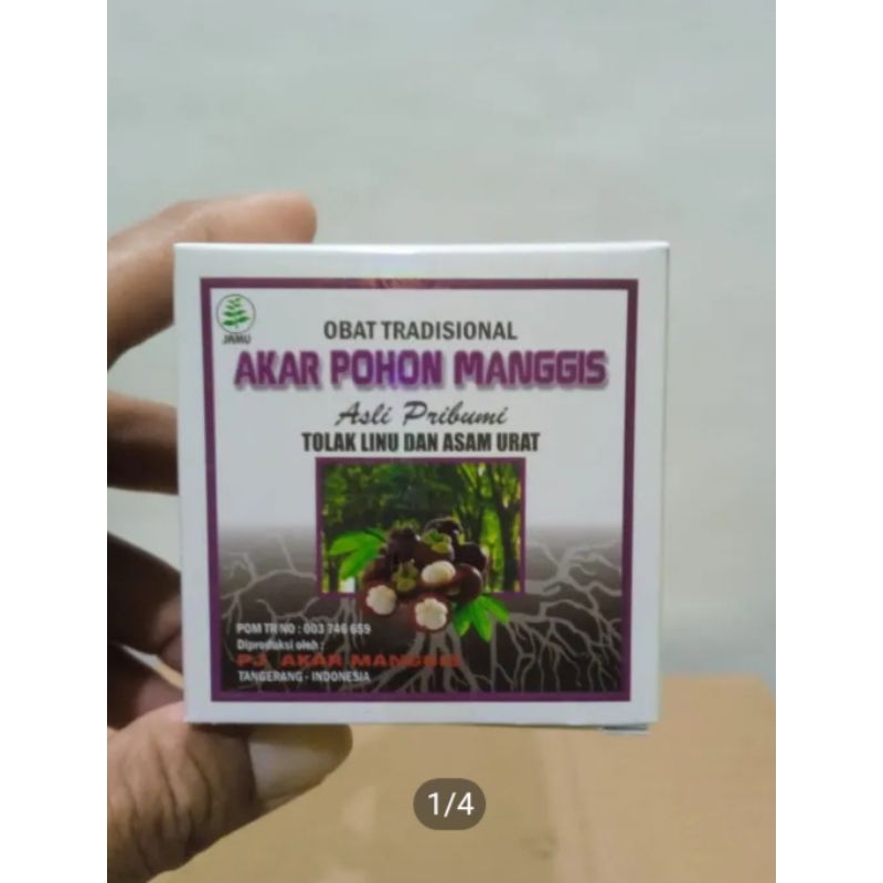 Akar pohon manggis