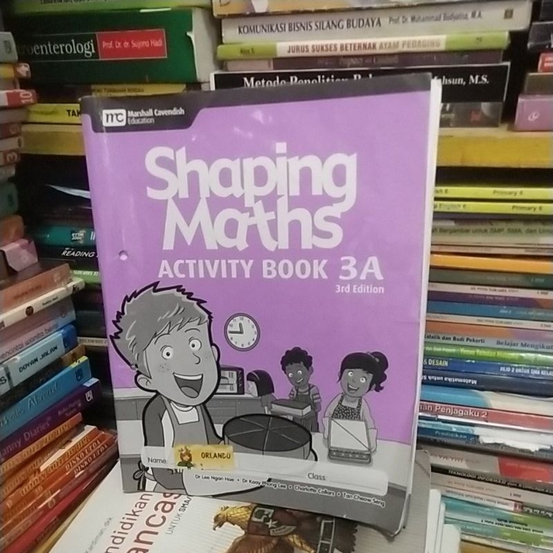shaping maths activity book 3A