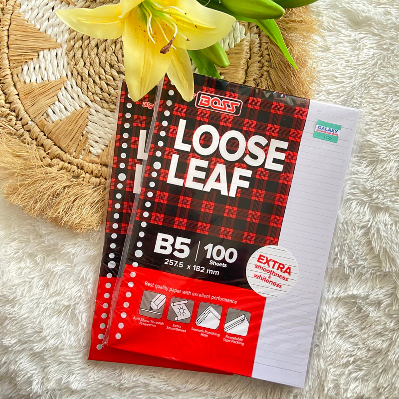 LOOSE LEAF B5 100 SHEETS