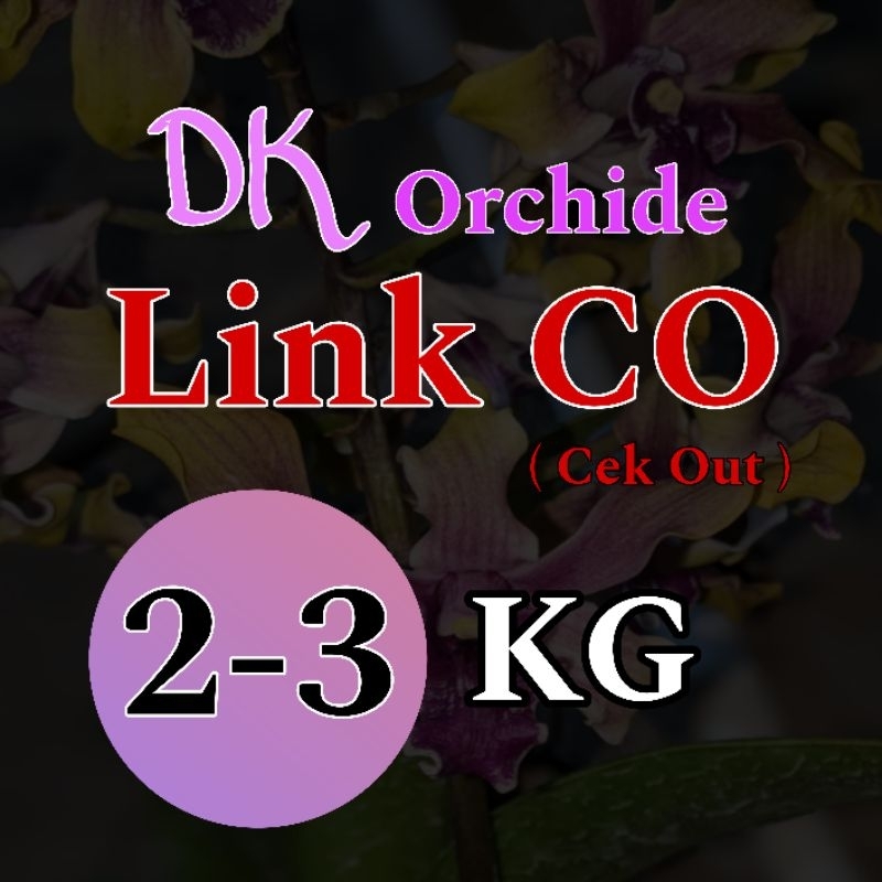 Link live 2-3kg 200k-500k