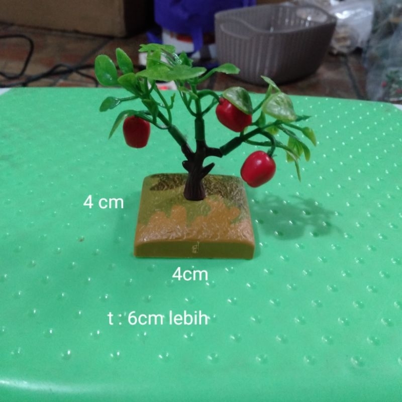 Miniatur Pohon Apel Mini