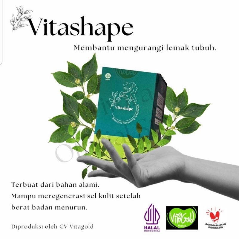 VITASHAPE PELANGSING HERBAL
