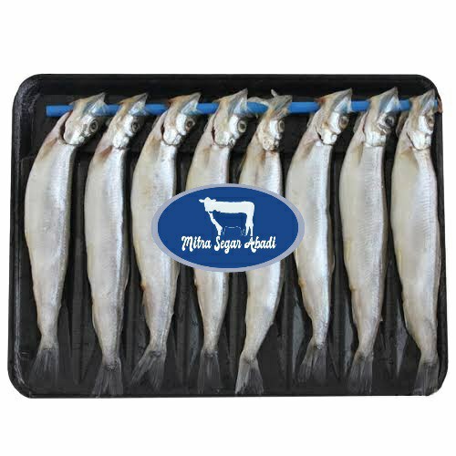Ikan shisamo