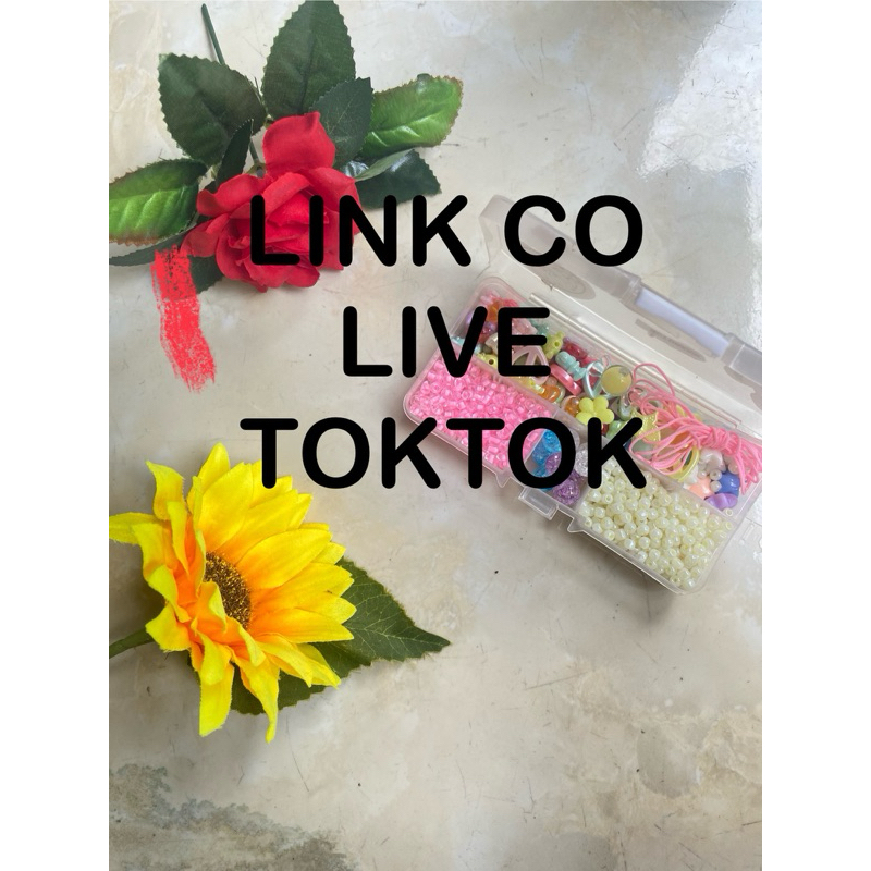 LINK CO TOKTOK