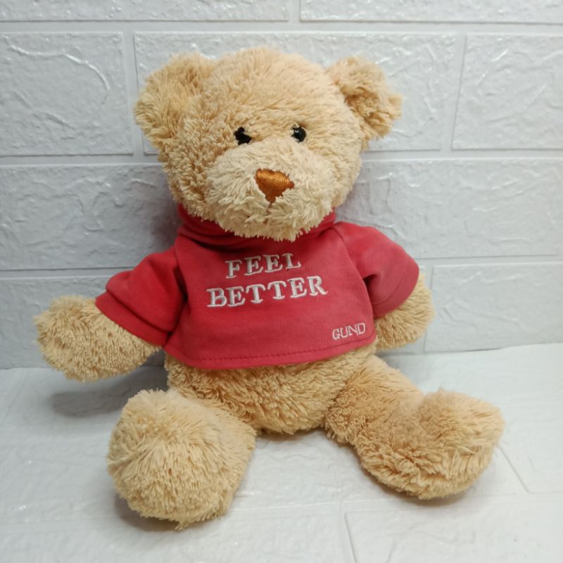 Teddy Bear Feel Better Gund