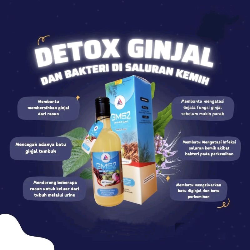 PROMO !!! GMS2 GM