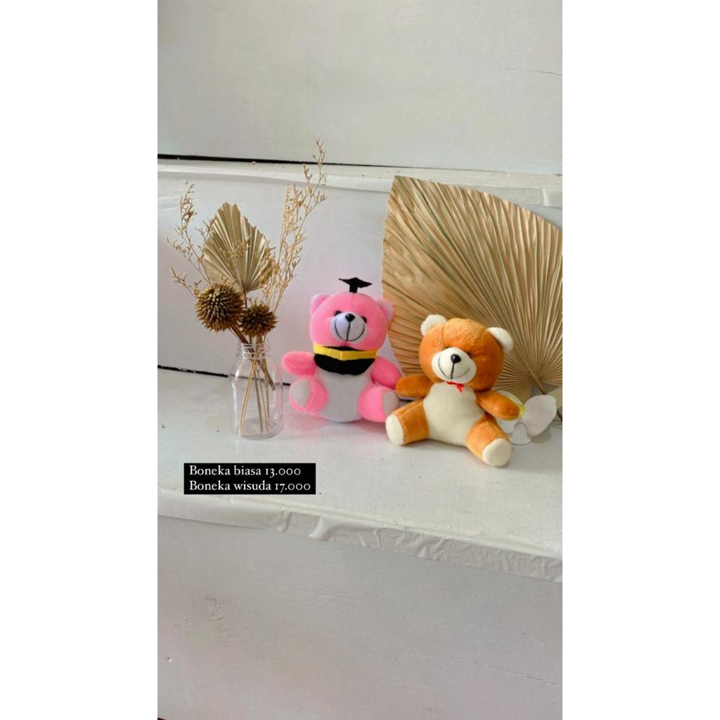 Boneka biasa Boneka Wisuda