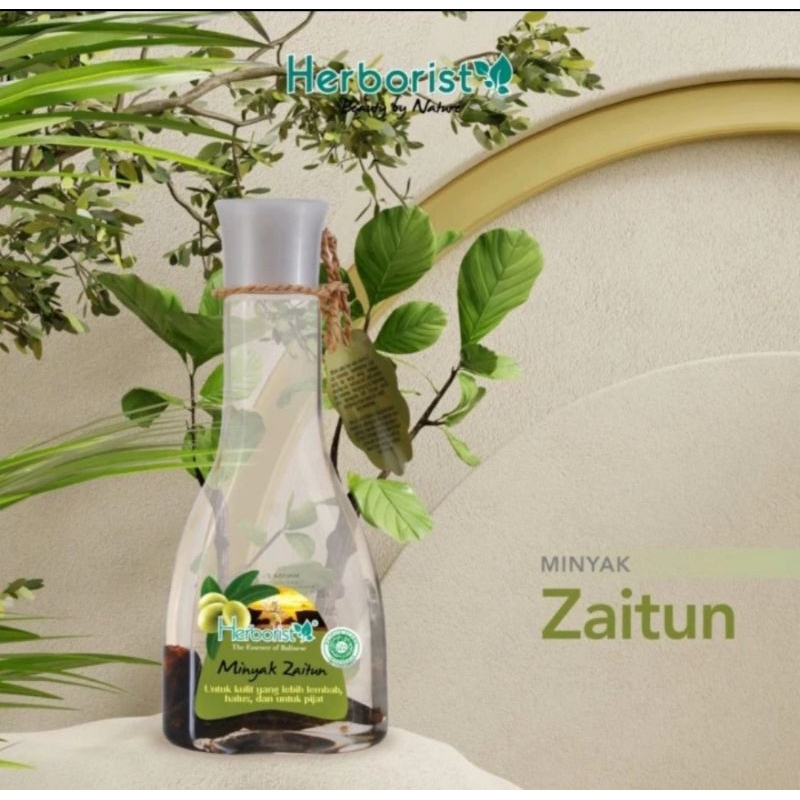 Herborist Minyak Zaitun