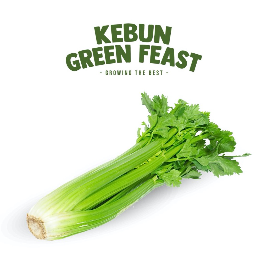 Celery - Celery Stick - Sayur Segar
