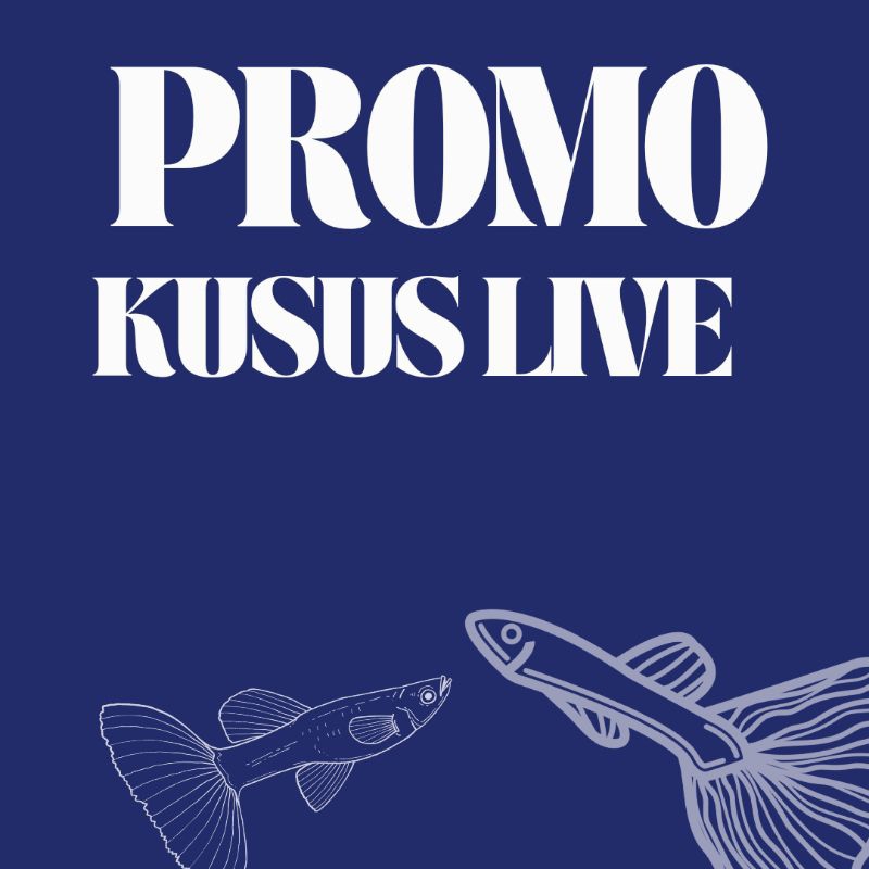 [Khusus Live] prt de 2 ekor