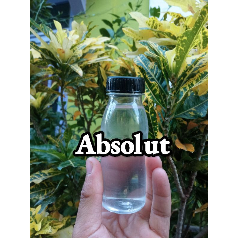 absolutt 100ml