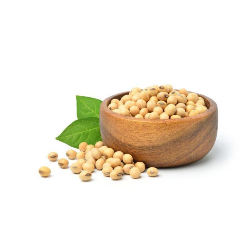 Kacang Kedelai