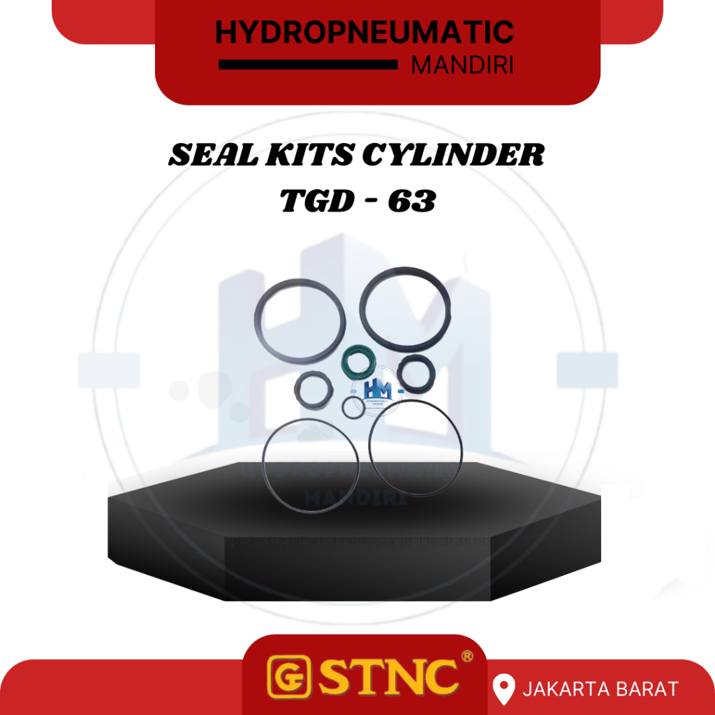 SEAL KITS TGD - 63