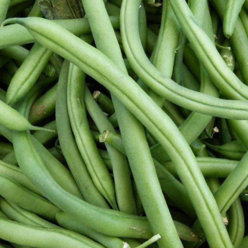 Buncis 500 gr