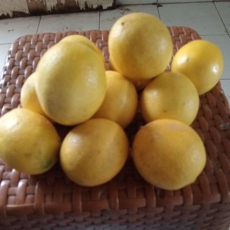Lemon 10 kg