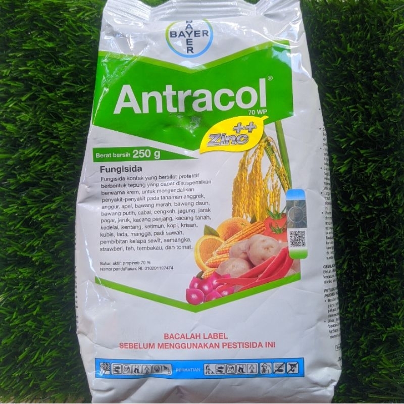 Antracol 70 WP