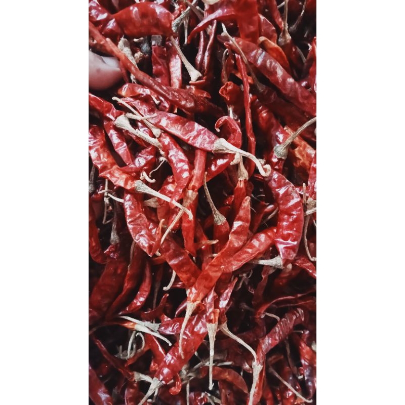 cabe kering
