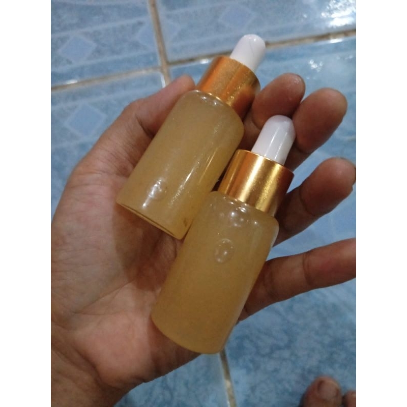 MINYAK BULUS ORIGINAL