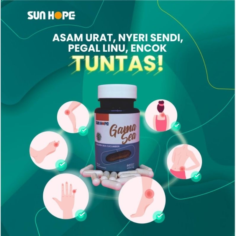 Sun Hope Gama Sea