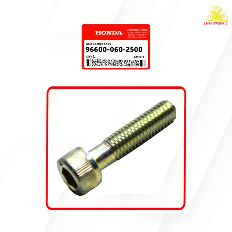 Baut Socket Bolt Socket 96600 060 2500
