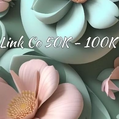 Link Co + Adm 50K - 100K
